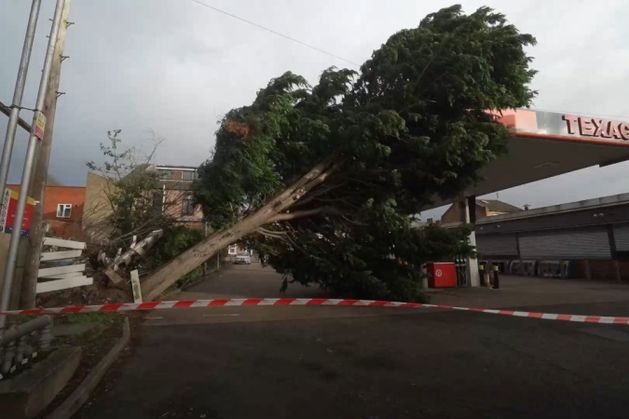 NI braced for Storm Ashley arrival as Met Office issues forecast