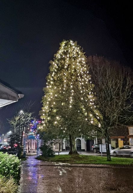 Broughshane village Christmas tree