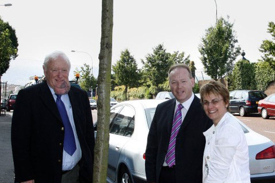 Greater Shankill and Crumlin get environment tree boost