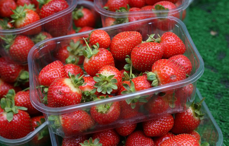 British berries are ‘big business’ for the UK economy with year-round retail-sales hitting £1.87 billion (Philip Toscano/PA)