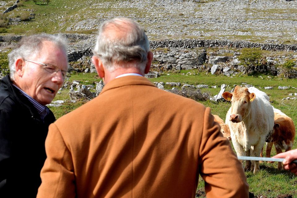 THE BURREN, IRELAND - MAY 19:  Prince Charles, Prince of Wales is given a talk on farming by local farmer Pat Nagle during his visit to The Burren, an ancient and dramatic stony outcrop famed for its rare plant life, biodiversity and archaeology, on the first day of his Royal visit to the Republic of Ireland on May 19, 2015 in County Clare, Ireland. The Prince of Wales and Duchess of Cornwall arrived in Ireland today for their four day visit to the Republic and Northern Ireland, the visit has been described by the British Embassy as another important step in promoting peace and reconciliation. (Photo by John Stillwell - WPA Pool/Getty Images)