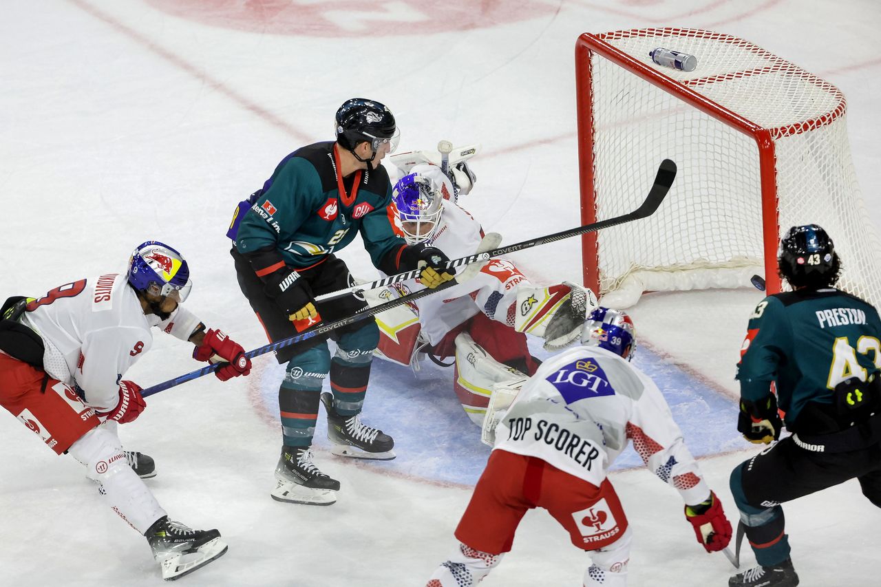 Latest Belfast Giants News