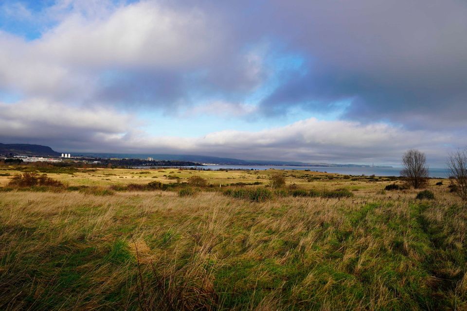 Views of the 250-acre former landfill site on Dargan Road in north Belfast where a giant-themed urban adventure park and nature sanctuary will be created as part of a landmark public-private sector venture.