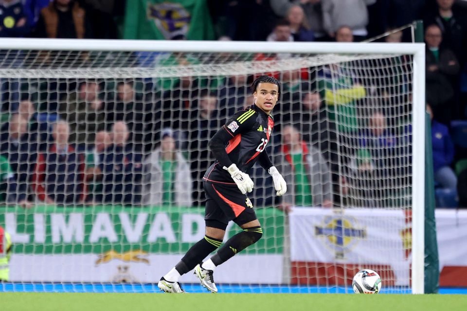 Pierce Charles (pictured) has kept his place in the Northern Ireland side even with Bailey Peacock-Farrell back (Liam McBurney/PA)