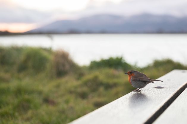 Northern Ireland weather: Met Office forecasts mild and dry conditions to continue into the weekend