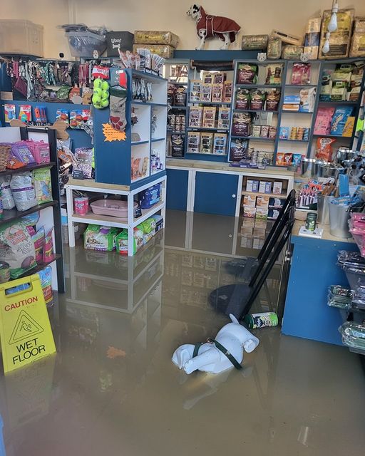 Becky Lyons’s pet shop in Chippenham flooded on Monday morning after the river Avon broke its banks (Becky Lyons/PA)