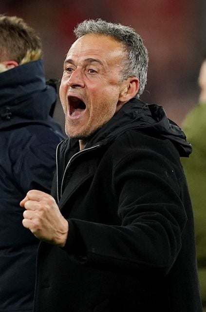 Luis Enrique celebrates Paris St Germain’s win (Martin Rickett/PA)