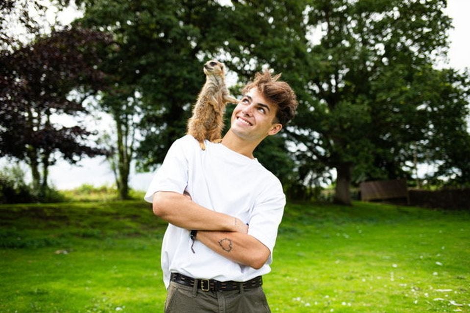 Controversial NI TikToker Kyle Thomas to be subject of new BBC documentary  about his failed exotic zoo | BelfastTelegraph.co.uk