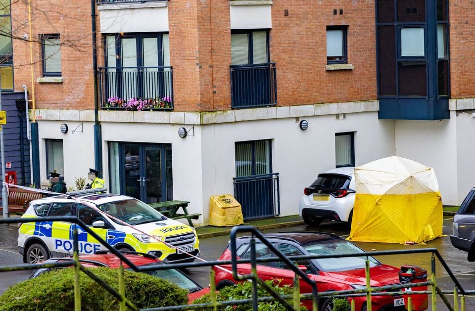 Emergency services at the scene in the Redwood Court area of Dunmurry. Picture: Kevin Scott