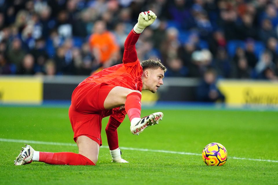 Brighton and Hove Albion goalkeeper Bart Verbruggen reacts after a back pass from a team-mate during the Premier League match at the American Express Stadium (PA)