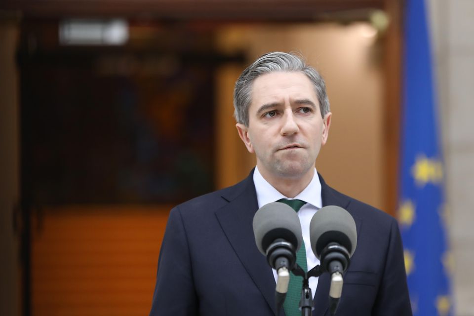 Taoiseach Simon Harris makes a statement outside Government Buildings (Gareth Chaney/PA)