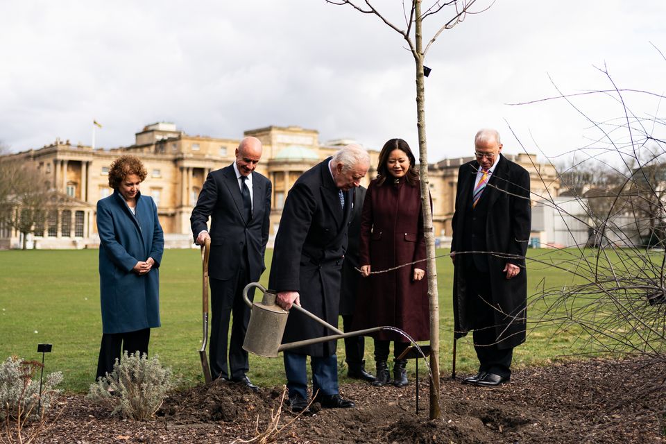 The King waters the tree (Aaron Chown/PA)