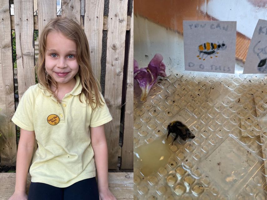 Willow McMurray went viral for rescuing and nursing a bee back to health using honey and self-made motivational posters (Anouska Curzon/PA)