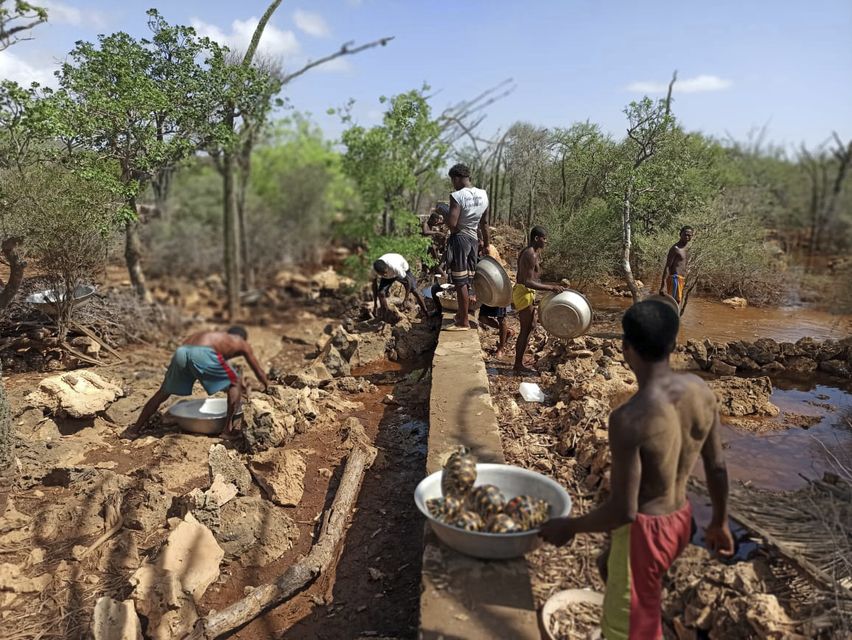 The community came together to save the reptiles (Lavavolo Tortoise Centre via AP)