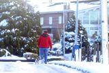 thumbnail: Press Eye Belfast - Northern Ireland 10th December 2017

A man walks his dog in Fourwinds outside Belfast as snow continues to lie across Northern Ireland.

Picture by Jonathan Porter/PressEye.com