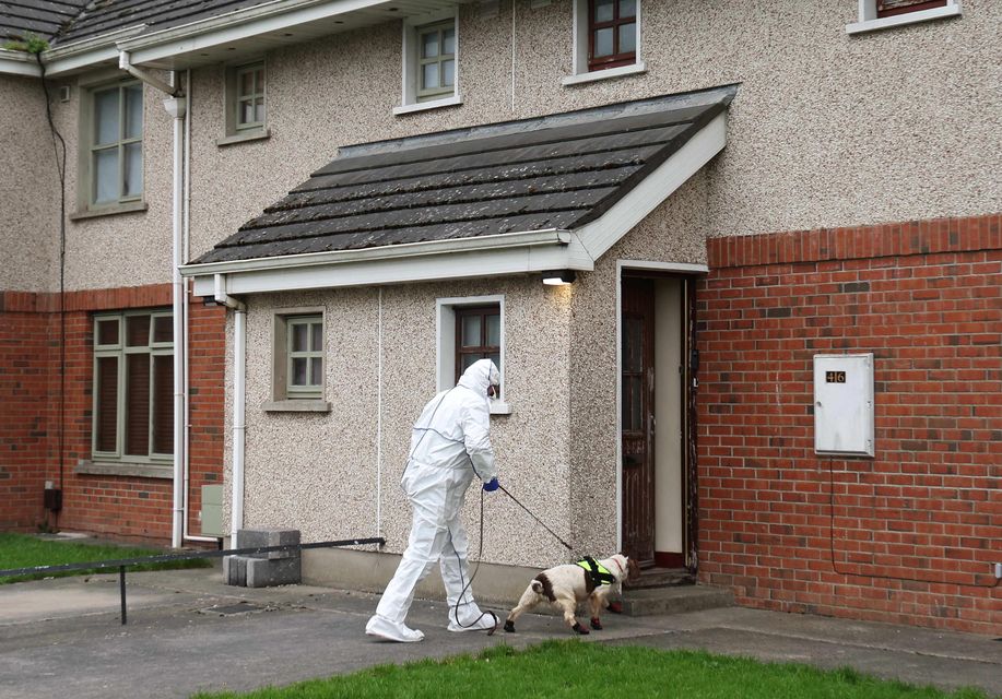 A specialist dog and its handler enter a property on Beechwood Drive in Drogheda (Damien Eagers/PA)