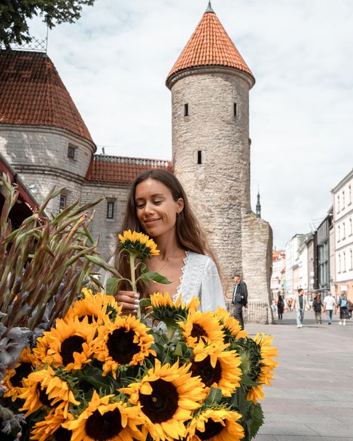 Sunflowers in Tallinn. Photo: Vivian Velle and Visit Tallinn