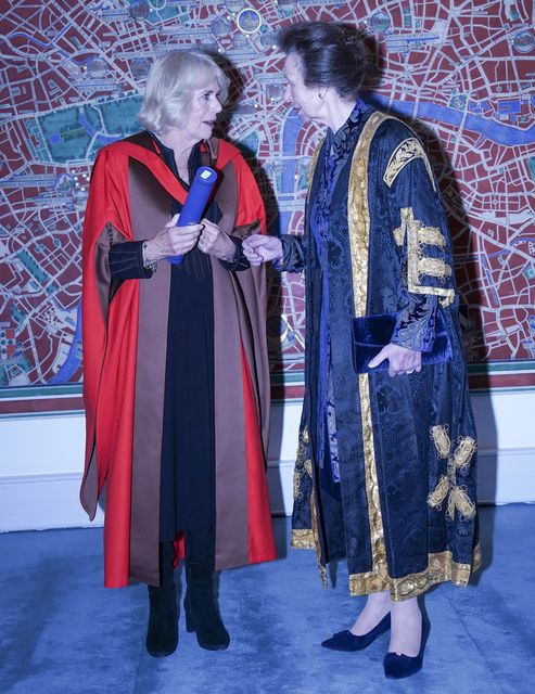 Anne and Camilla in their ceremonial robes (Arthur Edwards/The Sun/PA)