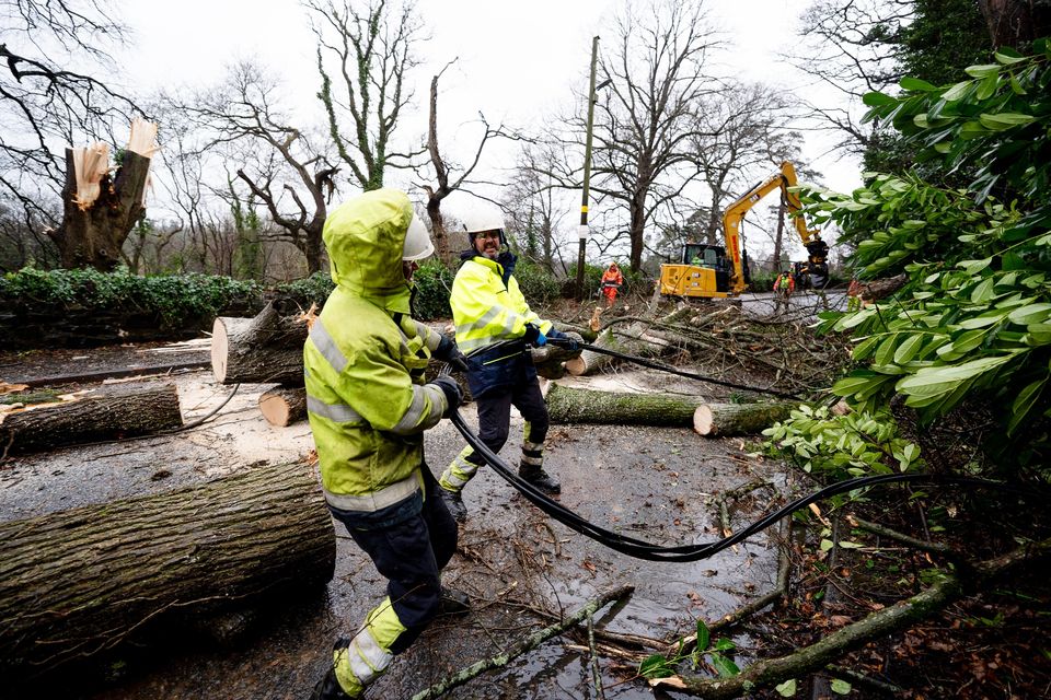 People clearing damage by fallen trees (NIE Networks/PA)