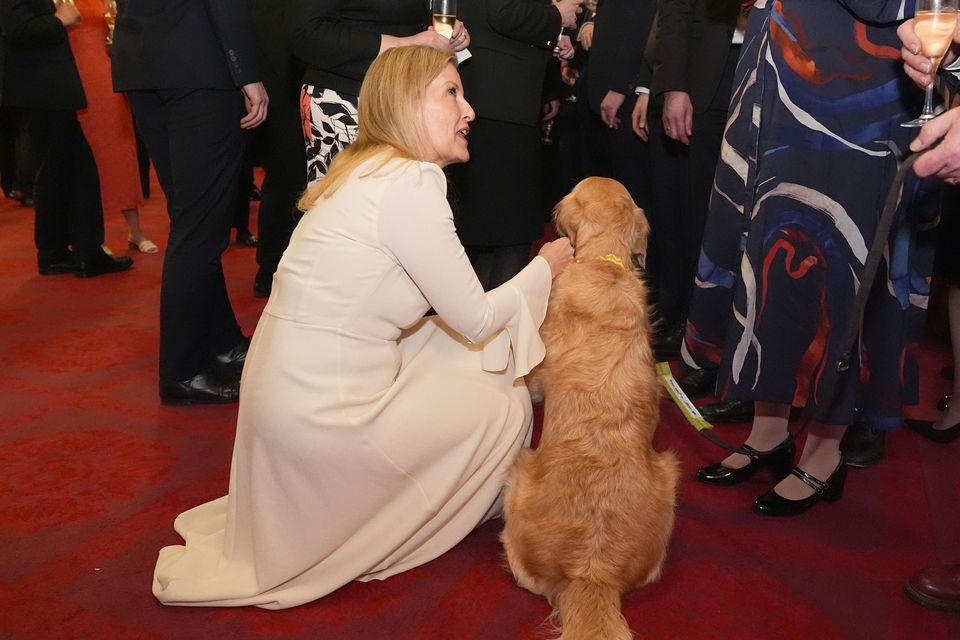 The Duchess of Edinburgh with Lib Dem MP Steve Darling’s guide dog Jennie (Aaron Chown/PA)