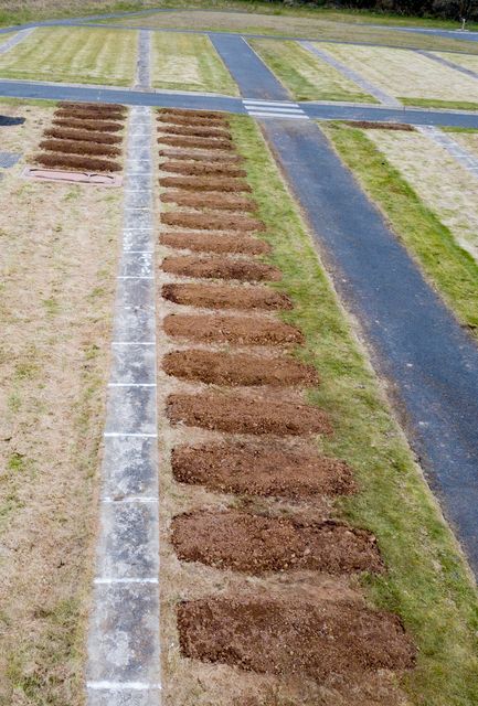 Freshly dug graves at Sixmile Cemetery in Antrim town