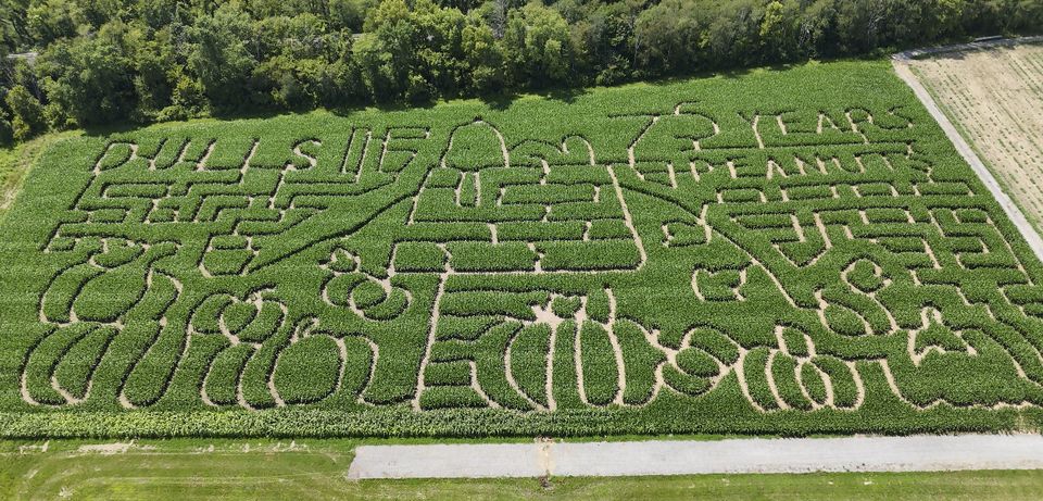 A corn maze honouring the 75th anniversary of the Peanuts comic strip in Thorntown, Indiana. (Dana Dull via AP)