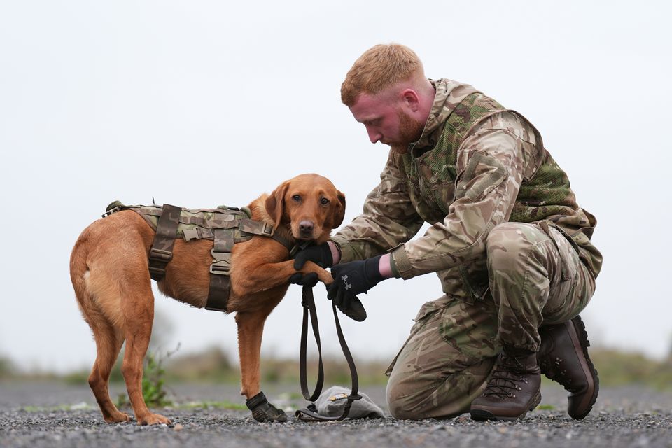 Private Butler fits protective boots to military working dog Meg (Joe Giddens/PA)