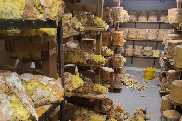 Belfast cheesemonger inundated with support after refrigeration failure ruins store full of specialist cheese