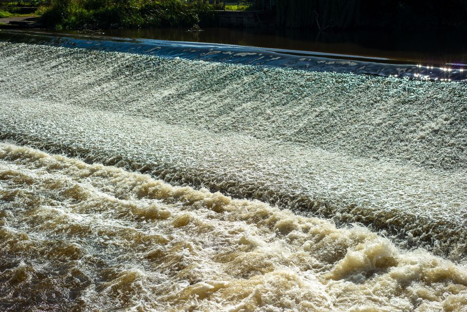 Salmon migration is affected by physical barriers such as weirs (Alamy/PA)