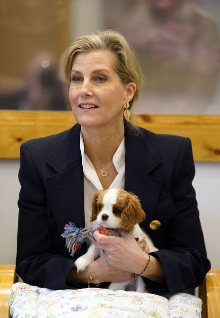 Nine-week-old Lord Louis of Spudringham sits on the Duchess of Edinburgh’s lap (Andrew Matthews/PA)