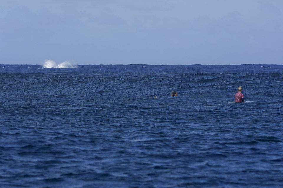 A whale, breaches as Brisa Hennessy, of Costa Rica and Tatiana Weston-Webb, of Brazil, compete during the semi-final round of the surfing competition in Tahiti (AP)