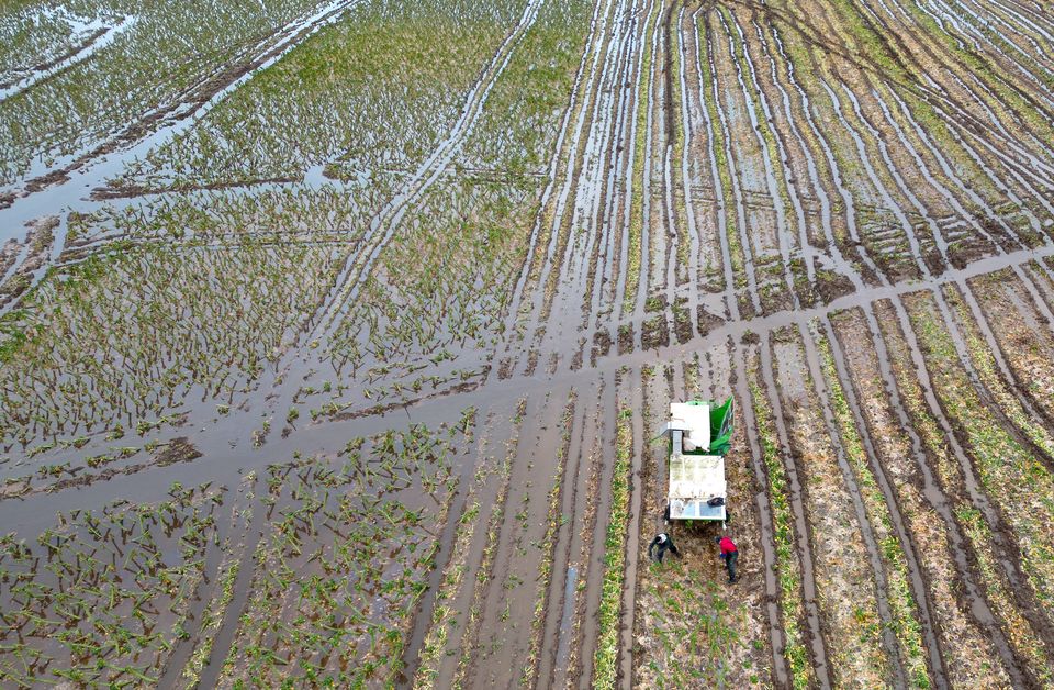 A fall in the volume of domestic production of vegetables between 2021 and 2023 was mainly caused by extreme weather conditions (Joe Giddens/PA)