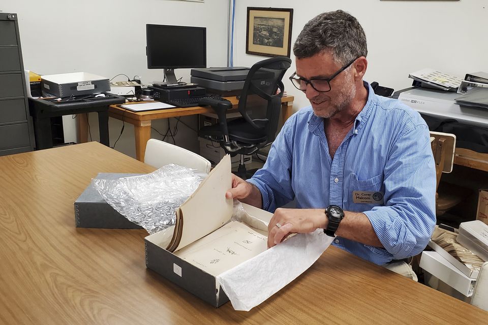 Historian Corey Malcom shows off some of Ernest Hemingway’s old school papers (David Fischer/AP)