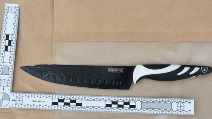 The kitchen knife used to stab Elianne Andam (Met Police/PA)