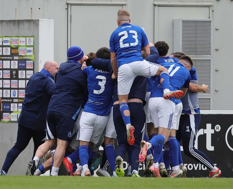 Glenavon players and staff alike enjoy the moment after David McDaid's late winner