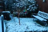 thumbnail: Snow in Belfast. Pic: Elisabete Tavares