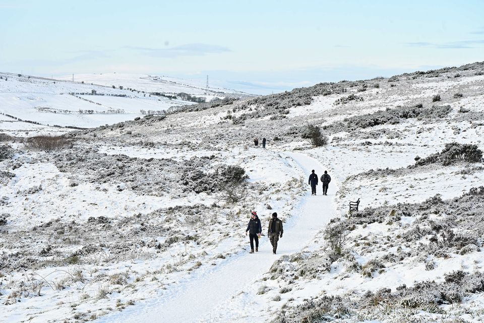 Snowy scene on Cavehill in Belfast. Picture by: Arthur Allison/Pacemaker Press