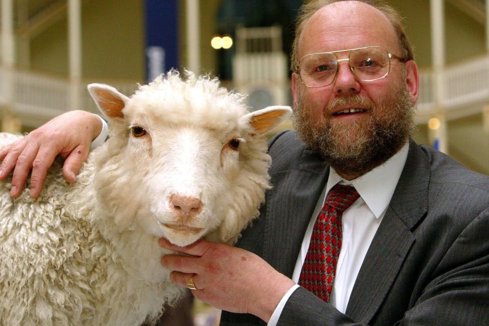 Dolly the Sheep may have pushed stem cell research forward 20 years, says  expert 