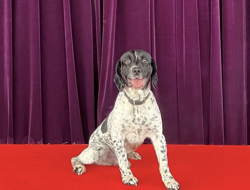 Police dog Sunflower-Monty found evidence that helped convict the five men (Metropolitan Police/PA)