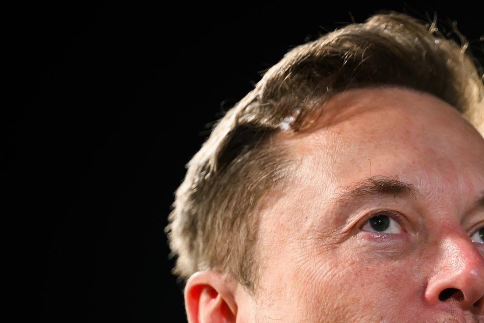 Elon Musk has just been appointed to jointly head a new US government department being created by President-election Donald Trump (Leon Neal/PA)