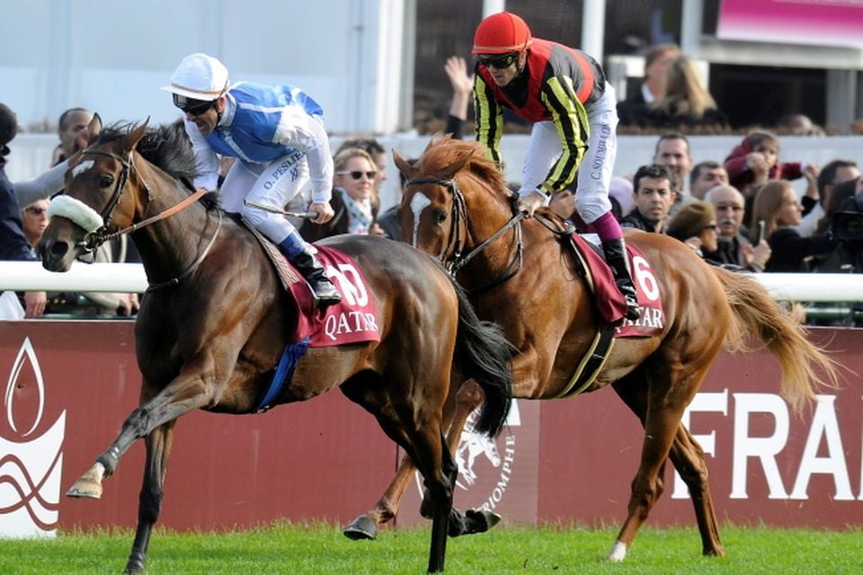 Catch of the outlet day longchamp