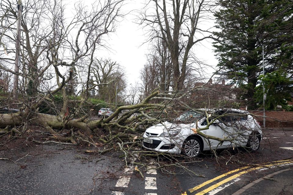 There was a lucky escape for the occupants of this car after it was struck by a falling tree in east Belfast. [Presseye]